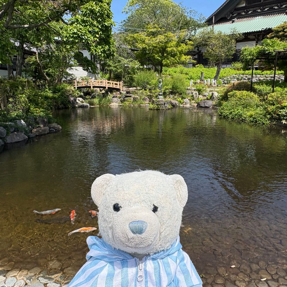 陸上観戦のついでに、箱根駅伝の名所の横にある遊行寺に行ってきたよ。
遊行寺は時宗の総本山。踊念仏のお寺だね。
おみくじは小吉…。なかなか大吉が引けないけあだよ。
