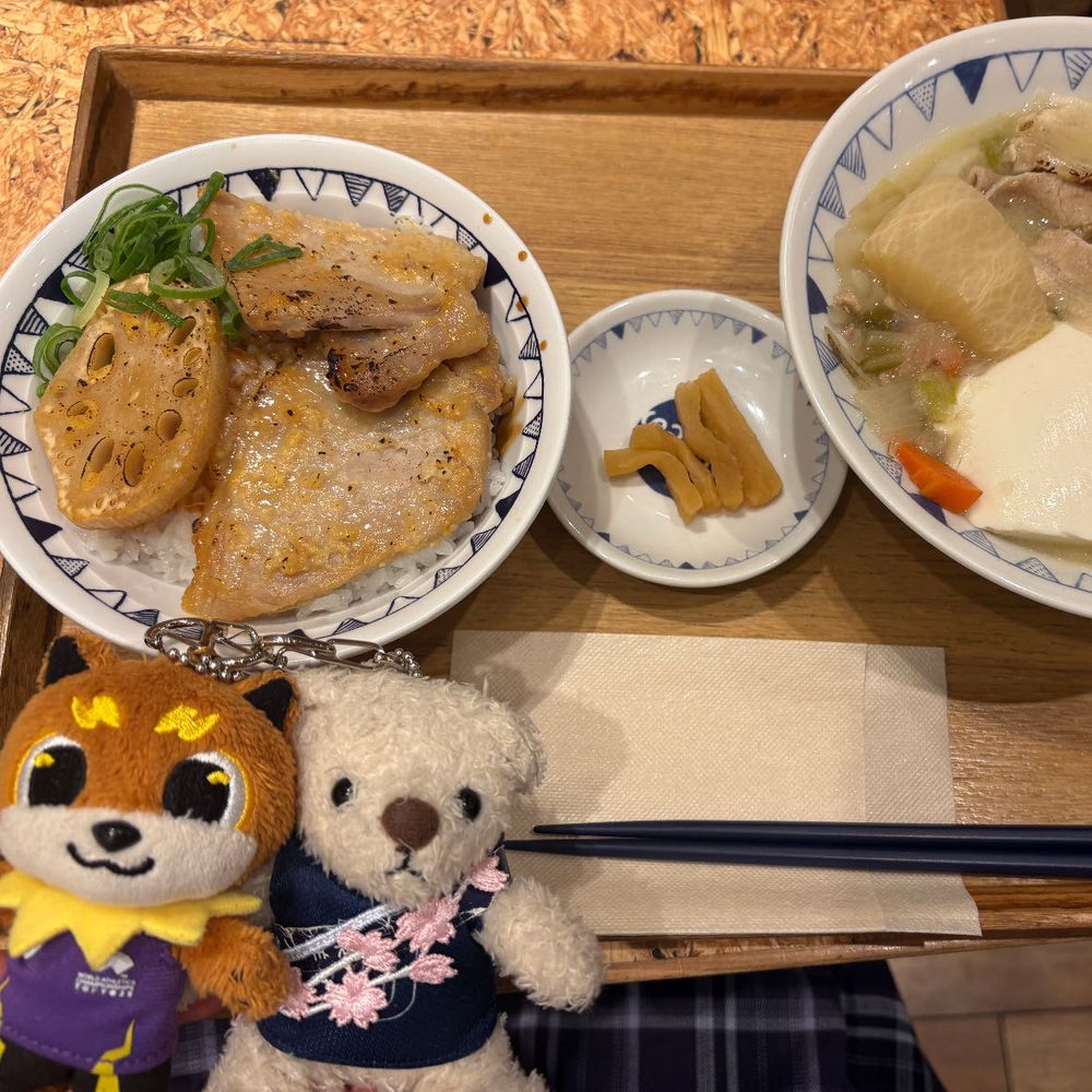 陸上観に行った時の食事たち。
1枚目は大戸屋だよ。
2枚目は大手町で食べた豚汁と豚丼だよ。
3,4枚目は箱根駅伝の聖地巡礼らしい。
けあも話にまざれるようにもっと勉強しなきゃね。