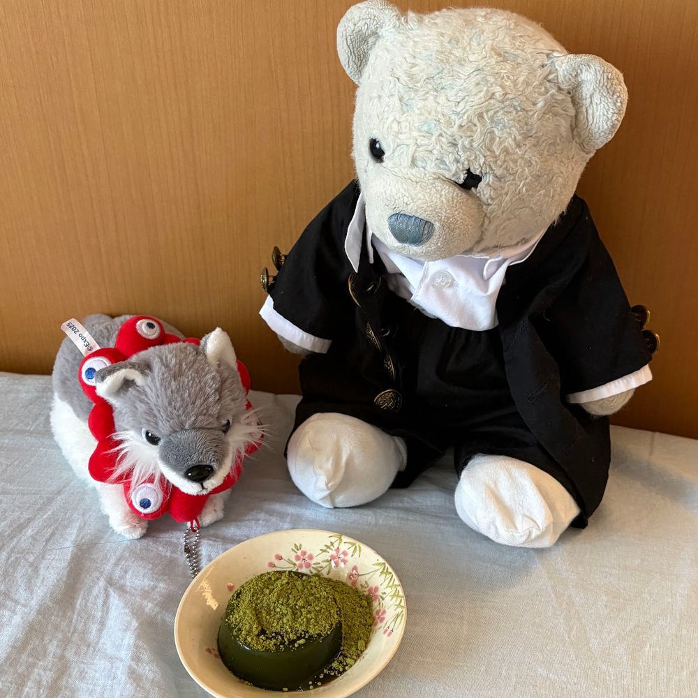 抹茶わらび餅を食べようとしてるのに、おおくんが第二ボタンちょうだいってしつこかったんだ。
仕方ないからあげることにしたよ。
ほら、一緒に食べるよ。赤ちゃんおおくんに抹茶はまだ早いかな？