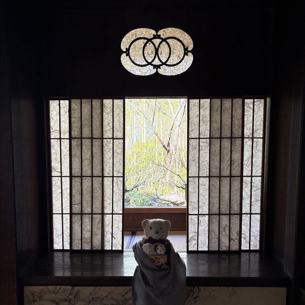 今更だけど京都旅行の続きの写真だよ。
３日目は大原へ。けあが一番好きなお寺の宝泉院だよ。
ここは時間を忘れてゆっくり過ごしちゃうんだ。