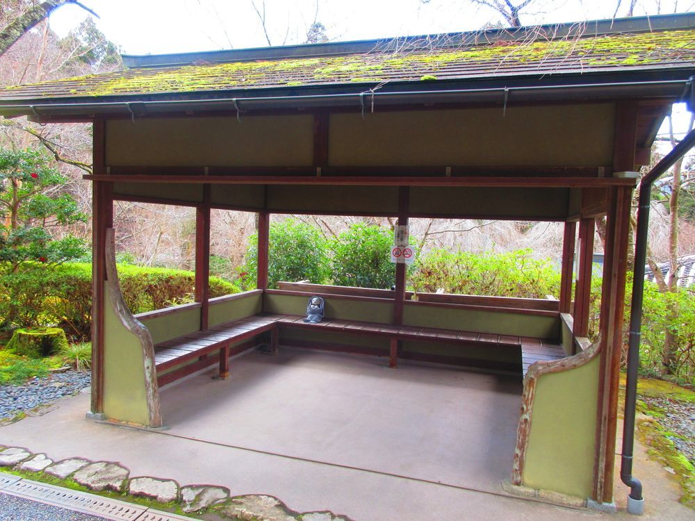宝泉院の次は三千院へ。
大原といえば三千院が一番有名だね。
ここは紫陽花の季節がキレイなんだよ。
4枚目は置いていかれると思って絶望してるけあだよ。