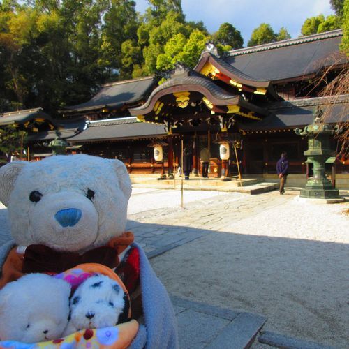 次はあぶり餅を食べに今宮神社へ。
と思ったら、あぶり餅が大行列。30分以上待ちそうだったから渋々断念。
今宮神社だけ参拝したよ。
ここは落ち着くところなんだ。