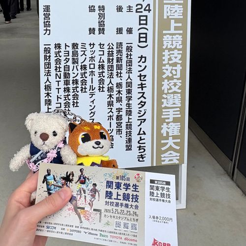 今日も陸上観戦に付き合ってきたよ。
てつこんくんとりくワンが大興奮してたよ。
夕飯は色んな鶏が乗ってるどんぶりだよ。味覚共有で美味しくいただいたんだ。
けあはずっとリュックの中だったから少し不満だよ。