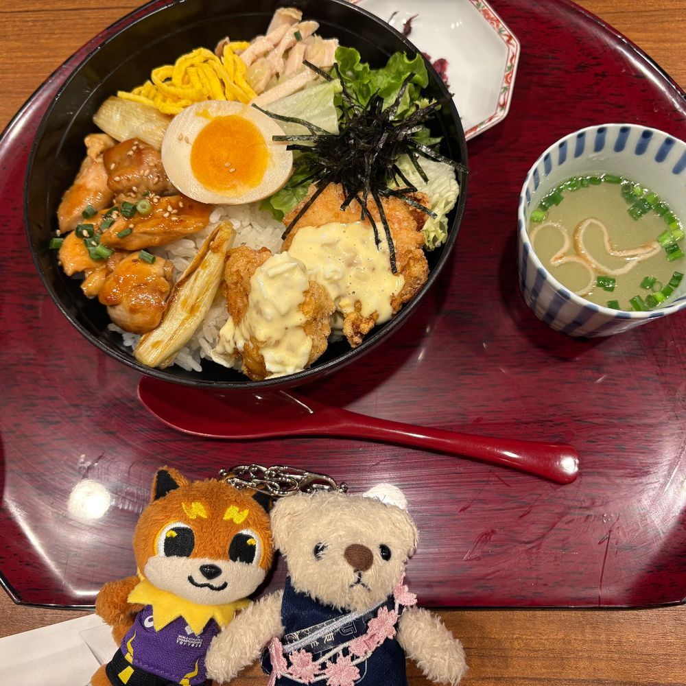 今日も陸上観戦に付き合ってきたよ。
てつこんくんとりくワンが大興奮してたよ。
夕飯は色んな鶏が乗ってるどんぶりだよ。味覚共有で美味しくいただいたんだ。
けあはずっとリュックの中だったから少し不満だよ。