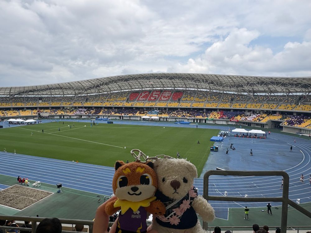 今日も陸上観戦に付き合ってきたよ。
てつこんくんとりくワンが大興奮してたよ。
夕飯は色んな鶏が乗ってるどんぶりだよ。味覚共有で美味しくいただいたんだ。
けあはずっとリュックの中だったから少し不満だよ。