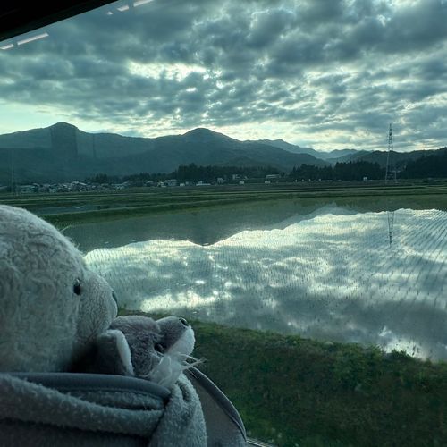 今日は4時半に起きて只見線の旅をしてきたよ。
絶景路線って言われるだけあって、すごくキレイな景色を楽しんだよ。
また今度写真載せるね。