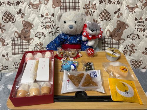 お土産のご紹介。
美味しいお菓子とたくさんの置き物を買ってきたよ。
水色のあかべこは、おおくんが欲しいっていって聞かなかったから買ってあげたよ。
どれから食べようかな。