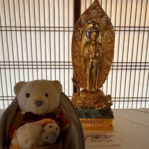 京都旅行の写真に戻るよ。
ひょうたん寺として有名な福勝寺。特別公開してたよ。
色んな宝物があって感動したよ。
ちびは昼寝から起きてくれなかったよ。