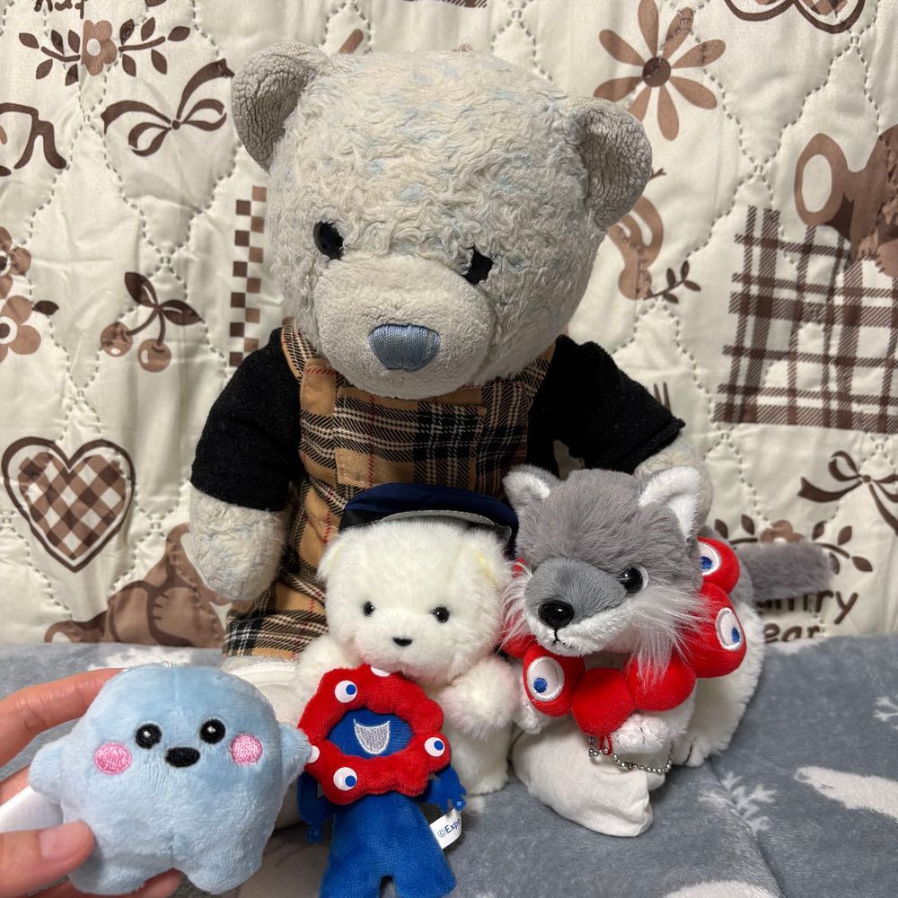 今日は家族が2匹増えたよ。
1匹目は、1,2枚目のbeamsでお迎えしたクマの女の子、びい。一緒にメロンパフェを食べたよ。甘えん坊だよ。
2匹目は、3枚目の大阪万博ドイツパビリオンのキャラクターのサーキュラーちゃん。ネットで発売されてたからお迎えしたよ。おおくんとでかがとても楽しみにしてたよ。
2匹ともまずは洗濯という洗礼から。頑張ってね。