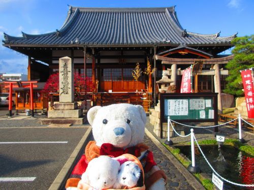 最後に行ったのは特別公開してた華光寺。内部は撮影禁止だったから、外の写真だけだよ。
紅梅が綺麗に咲いてて感動したよ。
特別公開のお寺を巡ったら、無料でお菓子をいただいたよ。上品な味で美味しかったよ。
その後は宮城にはないホリーズカフェってところでパスタを食べたよ。

京都旅行の写真はこれでおしまい。
長きに渡りお付き合いしてくれてありがとう。