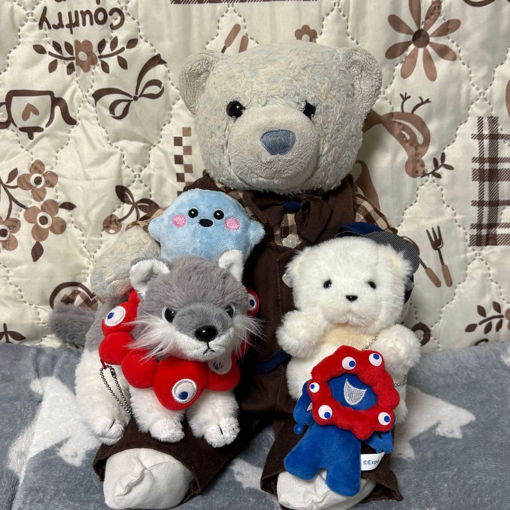 まずはサーキュラーちゃんのお迎え会。
でかとおおくんがいっぱい構ってたよ。
ん？おおくんどうしたの？みんなで記念撮影だね。
4枚目は万博で撮った写真。あのときと同じ色の子をお迎えできてよかったよ。