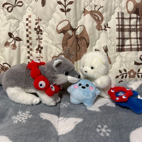 まずはサーキュラーちゃんのお迎え会。
でかとおおくんがいっぱい構ってたよ。
ん？おおくんどうしたの？みんなで記念撮影だね。
4枚目は万博で撮った写真。あのときと同じ色の子をお迎えできてよかったよ。