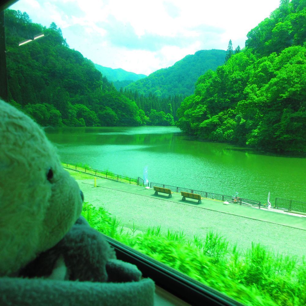 車窓から見た只見線の絶景をお届け。
只見線は川沿いを走るから、新緑が川に反射してとてもキレイだったよ。
窓越しだからあまり綺麗に映らなかったのが残念。
おおくんは興味示したりよそ見したり…自由だね。