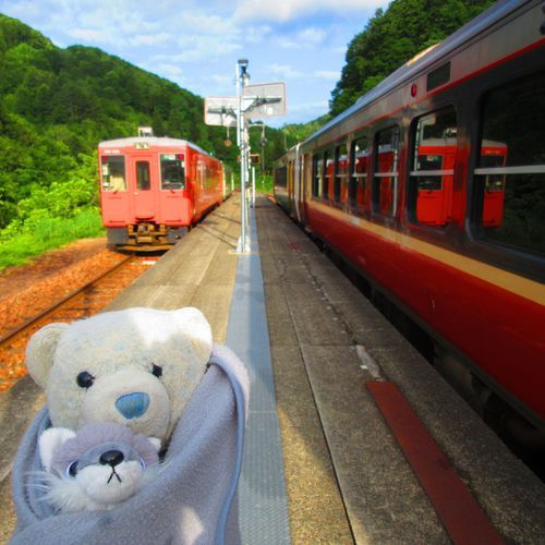 なかなか乗れない只見線に乗ったから、駅でも時々降りて写真を撮ってみたよ。
駅の写真もまた絵になるね。
せっかくだから途中の会津川口駅で途中下車したよ。レンタサイクルで金山町を観光したんだ。その写真はまた載せるね。
おおくんは全体的に上を見てるね。