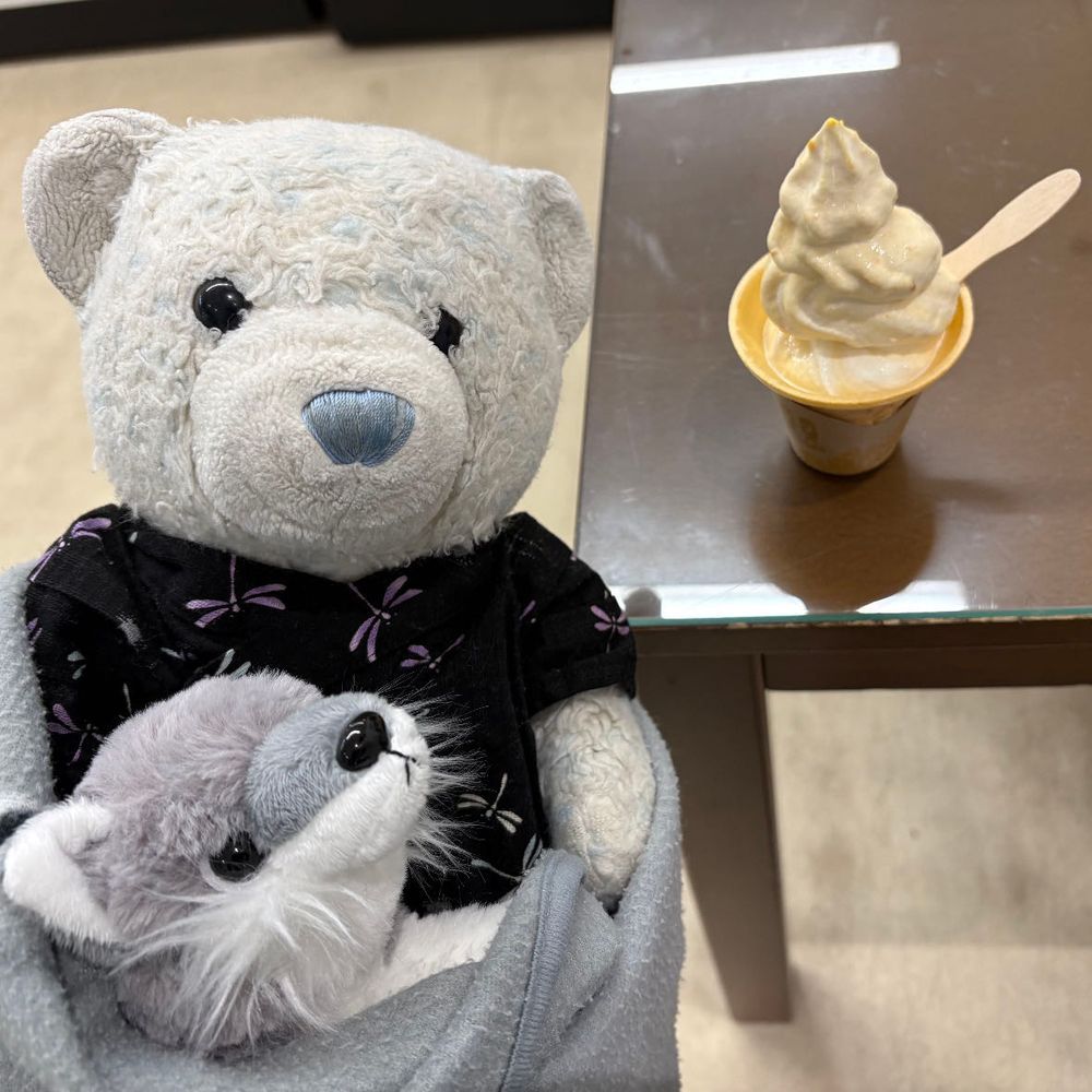 会津川口駅に着いたのは8時過ぎ。まだ観光協会も開いてなかったから、駅のベンチでいい子に佇むけあと遊んでほしいおおくん。
観光協会が開いたらレンタサイクルを借りて観光したよ。
2枚目はオススメされたビュースポット。すごくキレイだね。
3枚目は昔の立派なおうち。
4枚目は赤かぼちゃソフト。おおくんが狙った顔してるね。