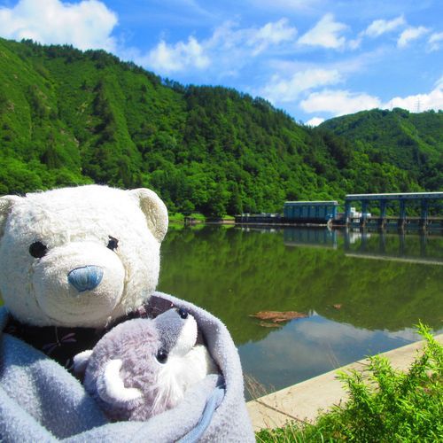 福島県　上田ダム
うえだダムじゃなくてうわだダムって読むよ。
ここは東北電力が管理してるダムなんだ。発電してるのかな？
数日前に雨が降ったからか、少しだけ放水されてたよ。