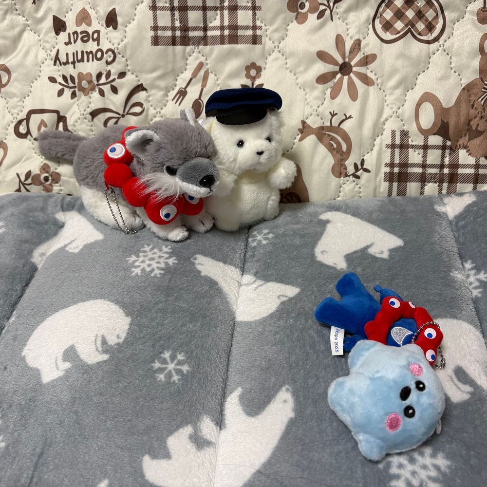 サーキュラーちゃんが来てから、でかがよくおおくんとミャクミャクと仲良く遊んでたんだ。
でも、元々サーキュラーちゃんとミャクミャクはおやがバッグにつける予定で買った子たち。
でかにも最初からそう伝えてあったから回収されちゃったんだけど…
でかがすごくショックを受けてずっと泣いてて、見てて辛いよ。
おおくんも慰めてくれてるけど、ずっと泣いてるんだ。