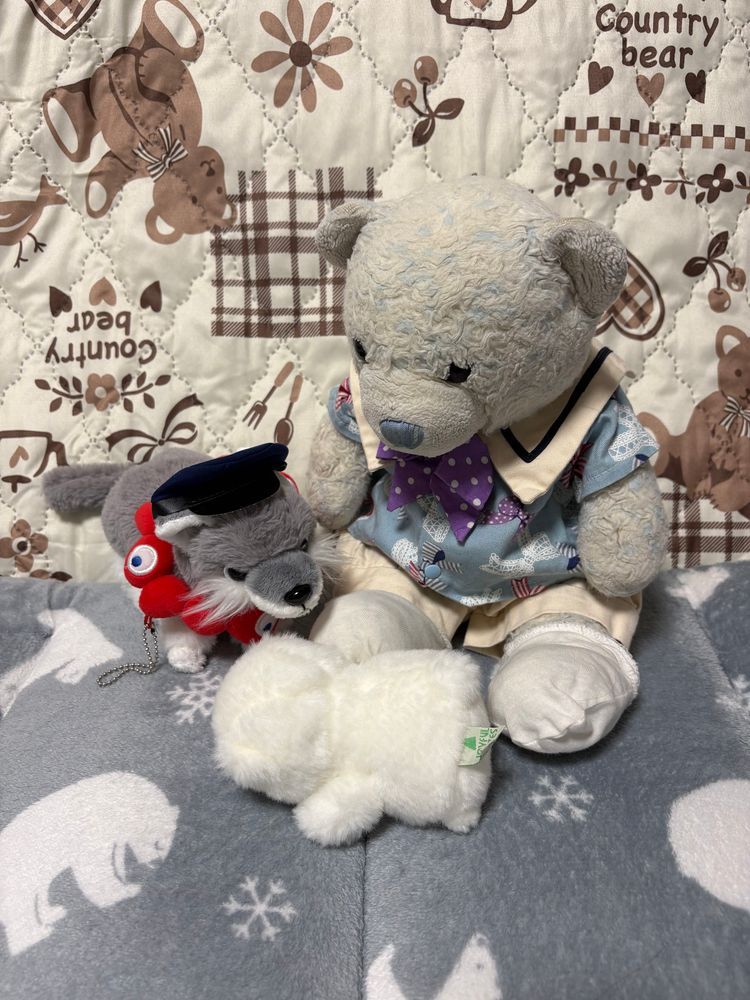 サーキュラーちゃんが来てから、でかがよくおおくんとミャクミャクと仲良く遊んでたんだ。
でも、元々サーキュラーちゃんとミャクミャクはおやがバッグにつける予定で買った子たち。
でかにも最初からそう伝えてあったから回収されちゃったんだけど…
でかがすごくショックを受けてずっと泣いてて、見てて辛いよ。
おおくんも慰めてくれてるけど、ずっと泣いてるんだ。