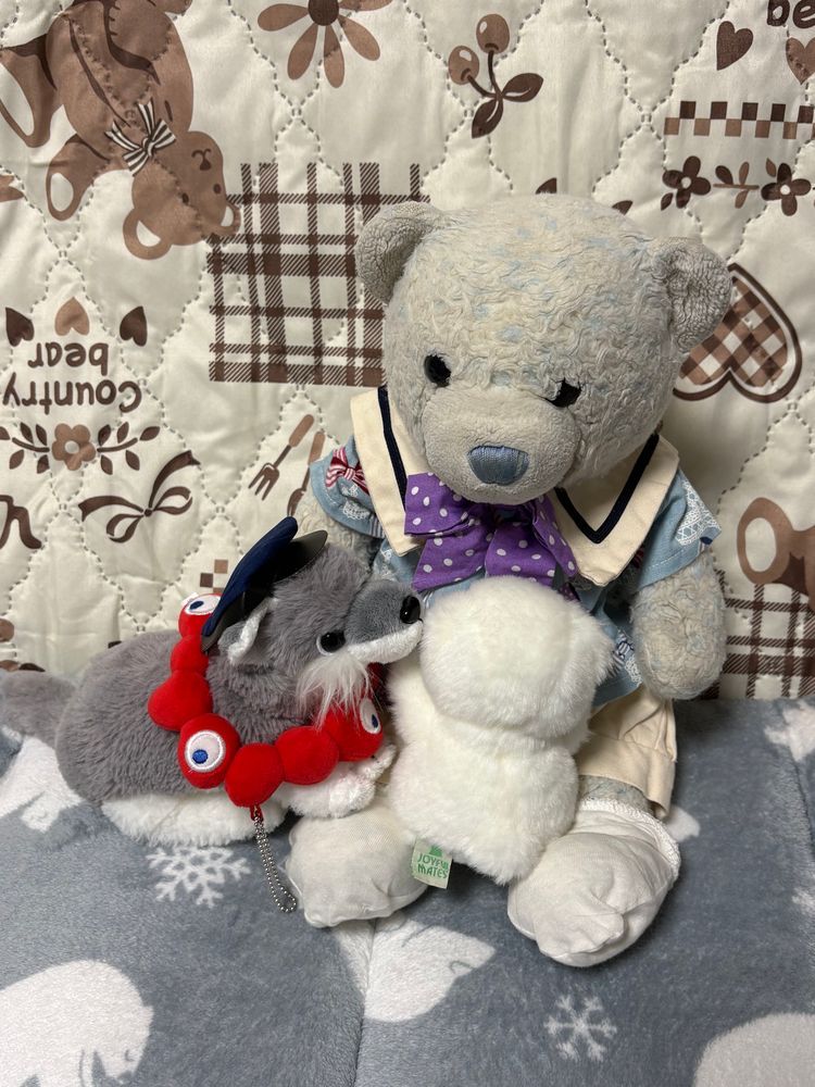 サーキュラーちゃんが来てから、でかがよくおおくんとミャクミャクと仲良く遊んでたんだ。
でも、元々サーキュラーちゃんとミャクミャクはおやがバッグにつける予定で買った子たち。
でかにも最初からそう伝えてあったから回収されちゃったんだけど…
でかがすごくショックを受けてずっと泣いてて、見てて辛いよ。
おおくんも慰めてくれてるけど、ずっと泣いてるんだ。