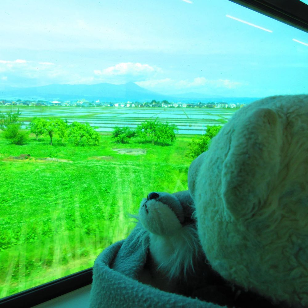 只見線の旅に戻るよ。
金山町観光が終わって、会津川口駅から会津若松駅に向かったよ。
1枚目　途中で通った会津柳津は赤べこ発祥の地。
2枚目　車窓から見えたダム？
3枚目　車窓から見えた磐梯山。
4枚目　おやとにらめっこして遊ぶおおくん。