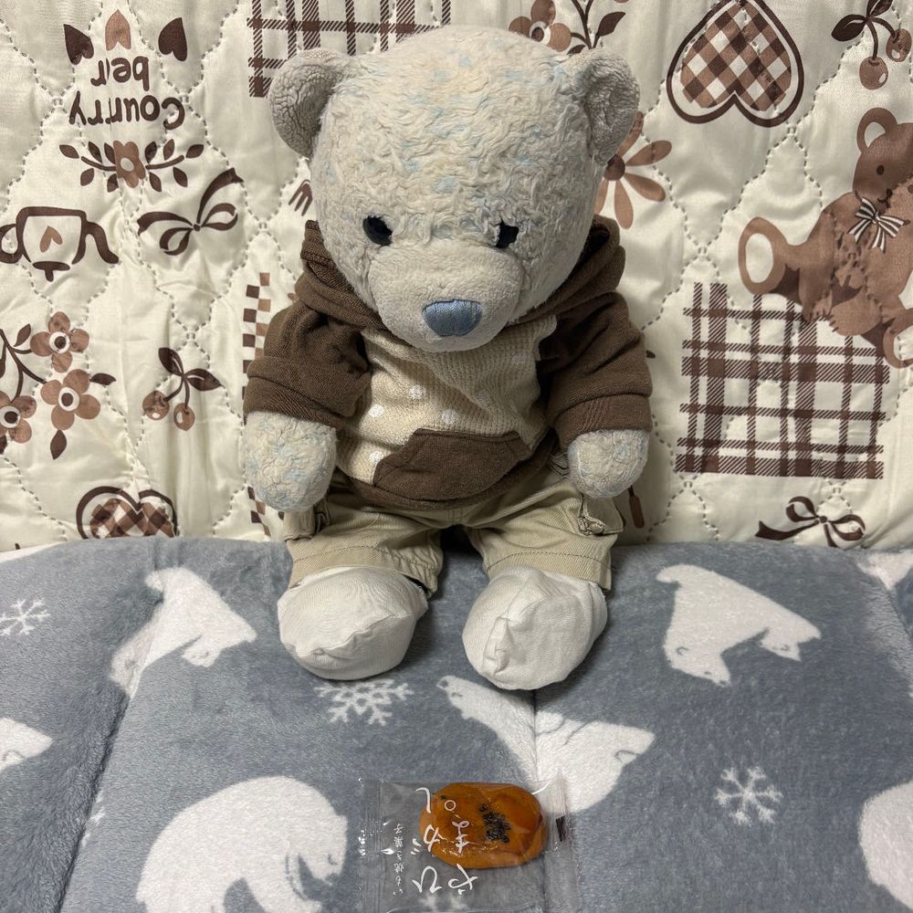 値引きされてたお菓子を買ってみたよ。
干し芋だと勘違いして買ったから、あけてビックリしたよ。小さいけど上品な味で美味しいんだ。気に入ったよ。
3枚目は値引きされてるチョコクレープ。びいと仲良くわけて食べたよ。