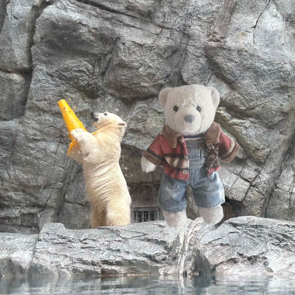 今日はシロクマたちを観に来たよ。
3枚目はちっこいシロクマにけあを合成したよ。
カッコいいシロクマの絵もあったよ。
コメント返信はおうちに帰ったらするね。遅くなってごめんね。