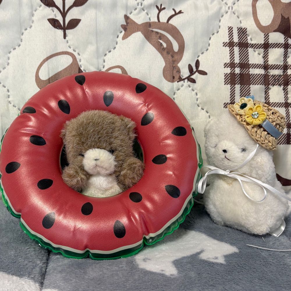 けあに　うきわをもらったぞ！
さっそくつけたぞ！ん？ゆるいぞ！
ちびおにも　ゆるいようだ！
でかには　ピッタリサイズだ！せなかに　ミャクミャクをのせても　だいじょうぶ！これは　でかにプレゼントだ！