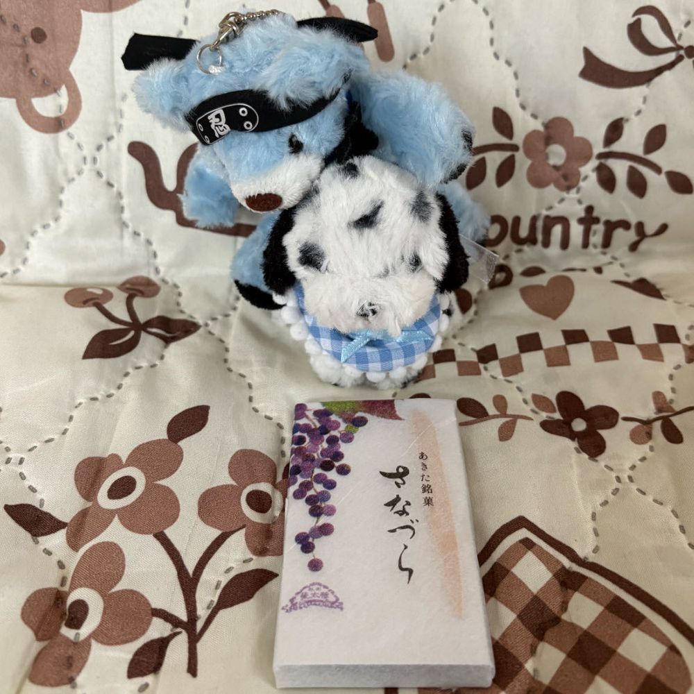 7月になったから夏らしい置き物を出したよ✨にんにんくんが頭撫でてくれたよ🤭
ご褒美は秋田銘菓のさなづら❣️ブドウゼリーみたいな感じで美味しかったよ🍇