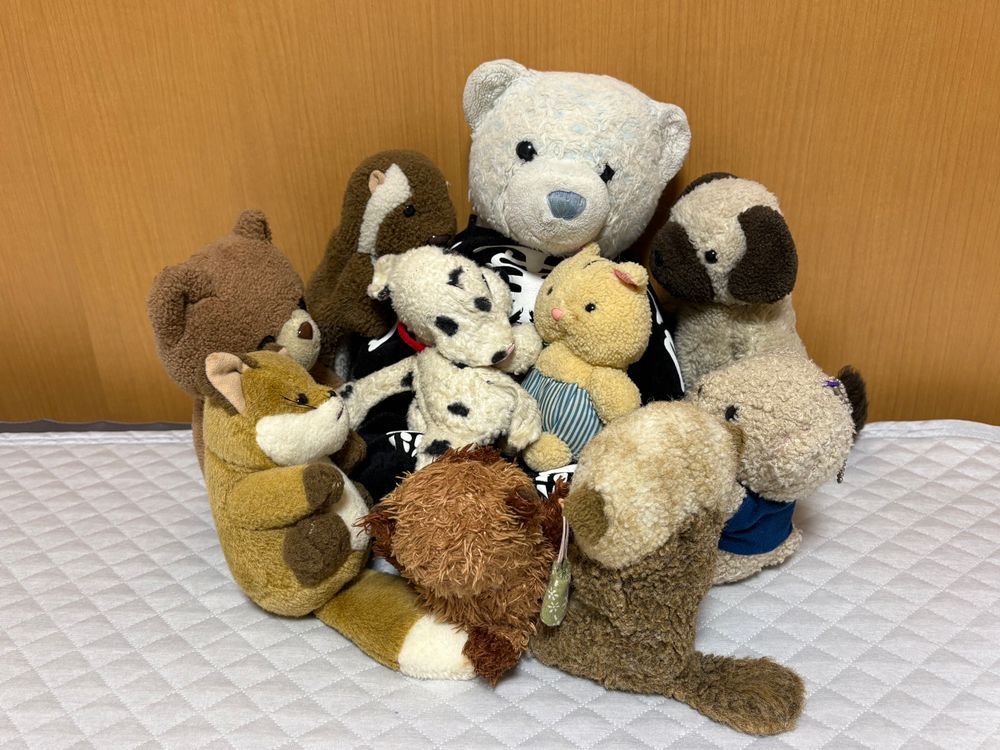 写真のふわもこたちは、おやの幼少期からいる子たち。
実はけあはみんなに救世主って言われてるんだ。
けあはおやが大きくなってから買われたクマなんだけど、けあが来るまでの数年間、みんな押し入れの中で寂しい思いをしていたみたい。
けあが来ておやのふわもこへの愛が復活してまた遊んでもらえるようになったんだって。
今のおやからは考えられないね。これからもふわもこを可愛がってね。
