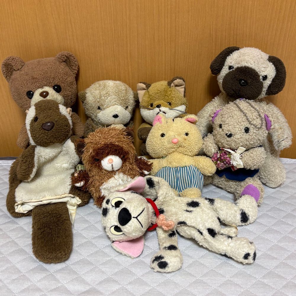 写真のふわもこたちは、おやの幼少期からいる子たち。
実はけあはみんなに救世主って言われてるんだ。
けあはおやが大きくなってから買われたクマなんだけど、けあが来るまでの数年間、みんな押し入れの中で寂しい思いをしていたみたい。
けあが来ておやのふわもこへの愛が復活してまた遊んでもらえるようになったんだって。
今のおやからは考えられないね。これからもふわもこを可愛がってね。