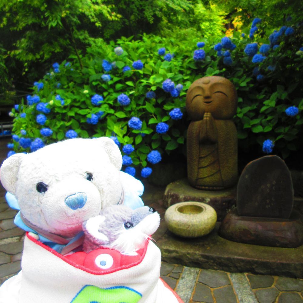 なまはげ館を楽しんだ後は、紫陽花の名所である雲昌寺へ。
可愛いお地蔵さんがいっぱいいて写真を撮ってもらったよ。
なまはげが怖くて泣いてたおおくんもすっかり泣き止んだよ。
2枚目はお地蔵さんの真似っこしたんだけど、あんまり似なかったね。