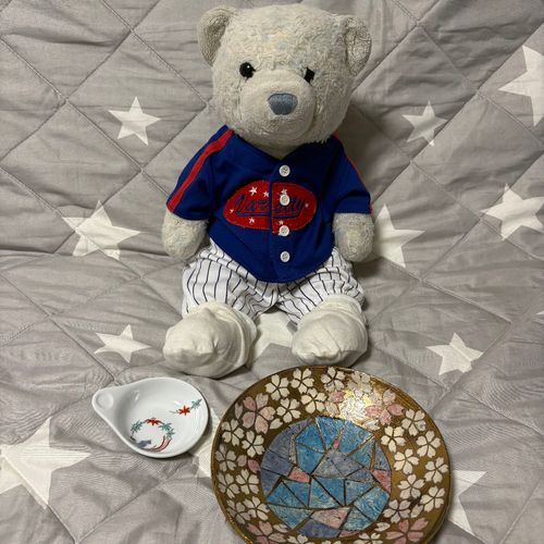 やきものフェアに行ってお皿を買ってきたよ。
でもけあが使うのは自分用のお皿。
けあのお皿の初めてはブルーベリーヨーグルトにしたよ。ヨーグルトがよく合うお皿だ。