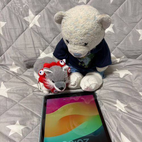 おおくんがふわもこSNSを始めたよ。
けあのプロフィールのファミリーのところに載りたい！って騒いだから、使い方を教えてあげたよ。
教えてあげたお礼にいっぱいちゅっちゅされたよ。
もし良かったらフォローしてあげてね。