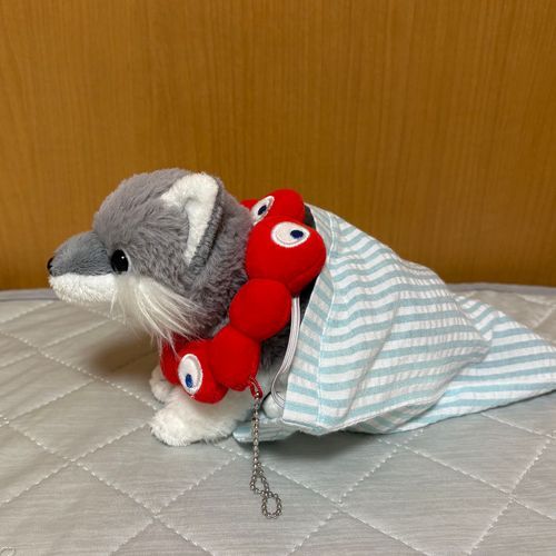 おおの　あたらしい　おようふく。けあちゃのぼうし　もらったよ。
あたまから　はいったほうが　いいニオイするね。おやすみ…💤