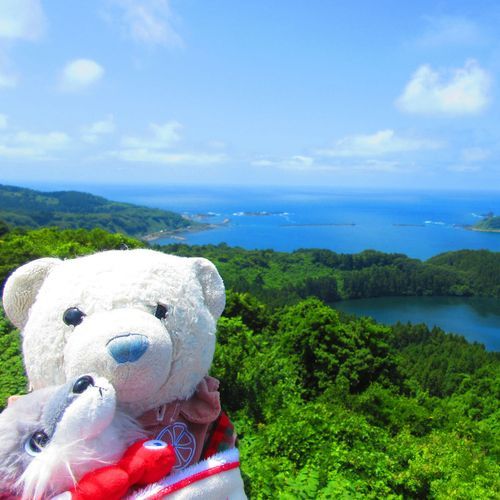 1枚目　八望台。手前に丸い湖？があるよ。
2枚目　寒風山。湾がキレイに見えるね。
3枚目　寒風山の展望台。くるくる回るんだ。高所恐怖症のけあは少し怖かったよ。
4枚目　展望台にいた鳥。頭良さそうな顔してるね。