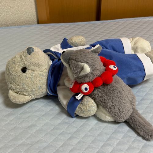 けあちゃ　ねてないで　かまって。
いっしょにねるの？いいよ。けあちゃとおねんね　だいすき。