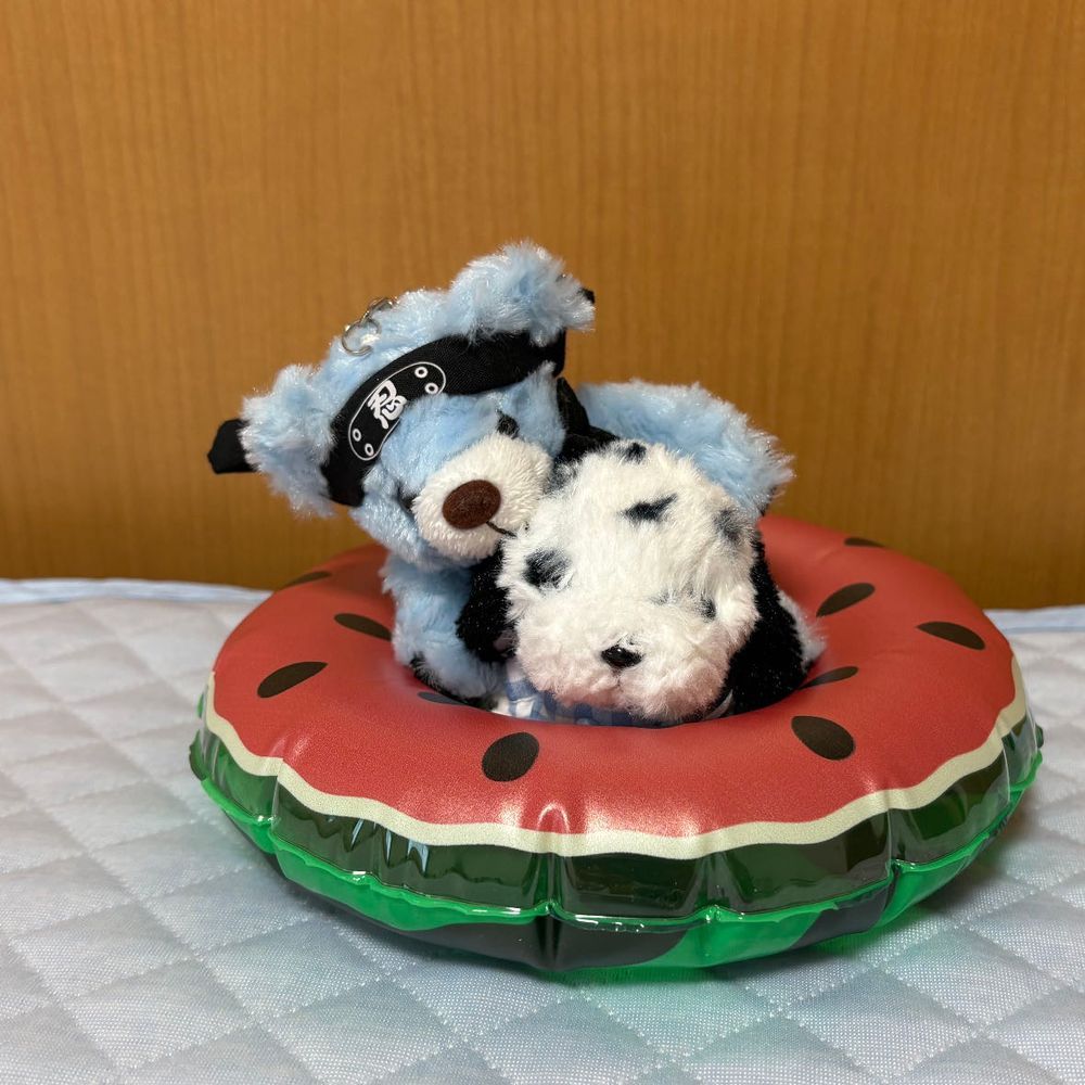 浮き輪をソファ代わりにしてくつろいでるにんにんくん🤭
ちあも乗ってみようとしたけどぶかぶか💦これじゃ意味ないね😣
あっ❗️にんにんくんが乗ってきたよ🤣にんにんくんはやっぱりちあの背中がいいんだね🤭