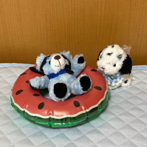 浮き輪をソファ代わりにしてくつろいでるにんにんくん🤭
ちあも乗ってみようとしたけどぶかぶか💦これじゃ意味ないね😣
あっ❗️にんにんくんが乗ってきたよ🤣にんにんくんはやっぱりちあの背中がいいんだね🤭