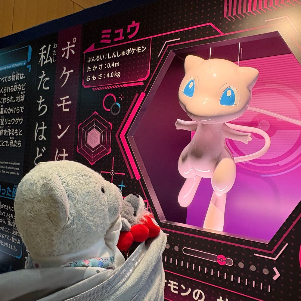 ポケモン天文台の続きだよ。
1枚目 ポリゴン2になりきるけあたち。おおくんが本気出してるよ。
2枚目 ポケモン(名前わからなくてごめんね)になりきるけあたち。
3枚目 けあたちを驚かせようとしてるいたずらっ子レックウザ。
4枚目 ミュウと心を通わせるけあたち。