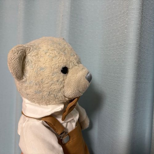 昨夜は雷がゴロゴロドーンってしてて楽しかったよ。
連休中の洗濯を阻止したいと祈ったら、なんと台風が直撃しそうでちょっと反省中。
まぁけあは悪くないよね。おいしそうなパンを食べてリフレッシュするよ。
