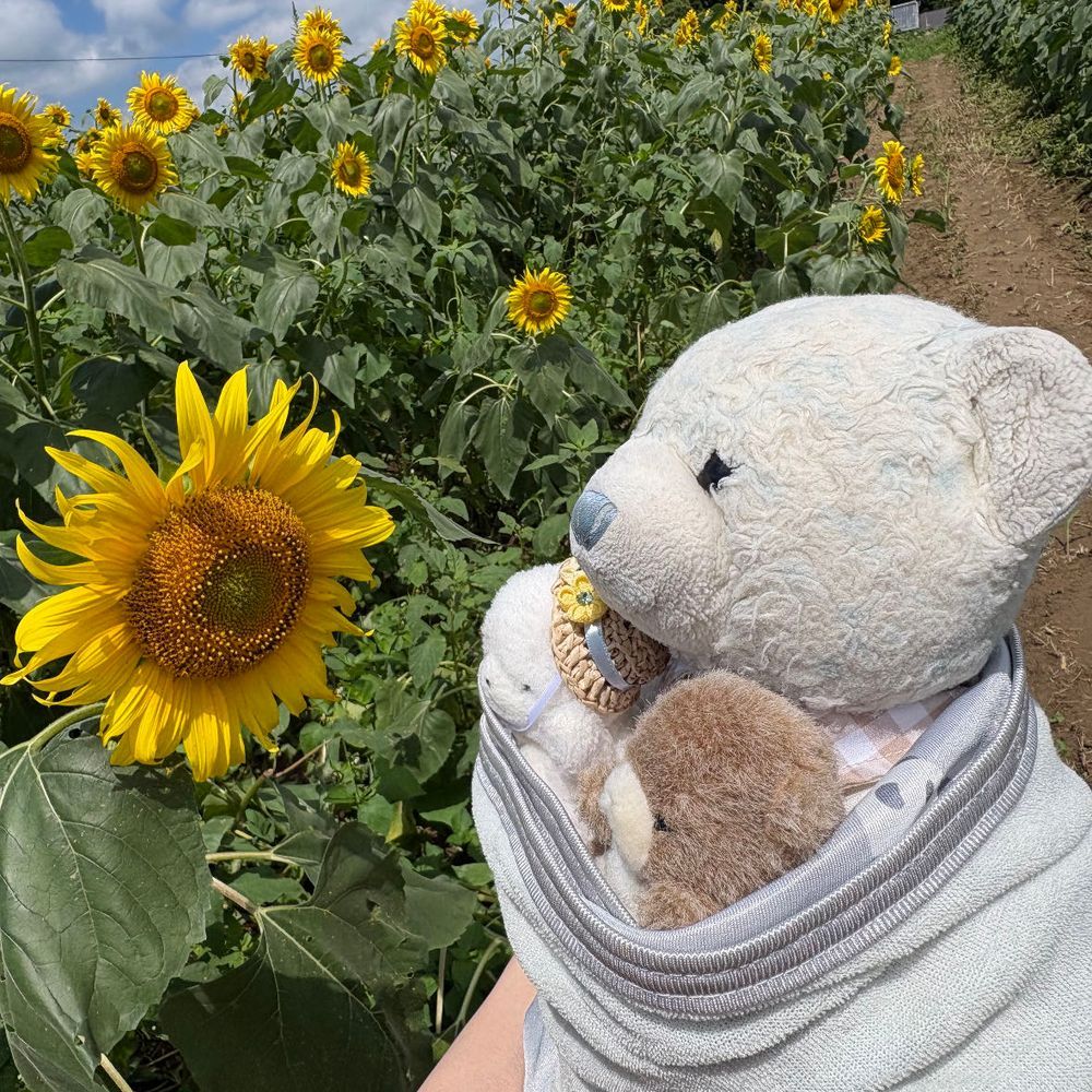 けあと　ちびおと　ひまわりをみにいったぞ！
どこでもドアのさきは　ひまわりばたけ！
ひまわりが　ちびたちをみてる！タネをくれ！たべたいぞ！
あー！！！！！はしゃぎすぎて　らっかしてしまった！
おうちにかえったとたん　おふろにいれられたぞ…！

つぎのとうこうにつづくぞ！