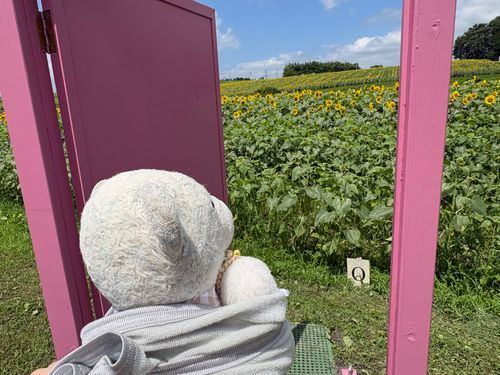 けあと　ちびおと　ひまわりをみにいったぞ！
どこでもドアのさきは　ひまわりばたけ！
ひまわりが　ちびたちをみてる！タネをくれ！たべたいぞ！
あー！！！！！はしゃぎすぎて　らっかしてしまった！
おうちにかえったとたん　おふろにいれられたぞ…！

つぎのとうこうにつづくぞ！