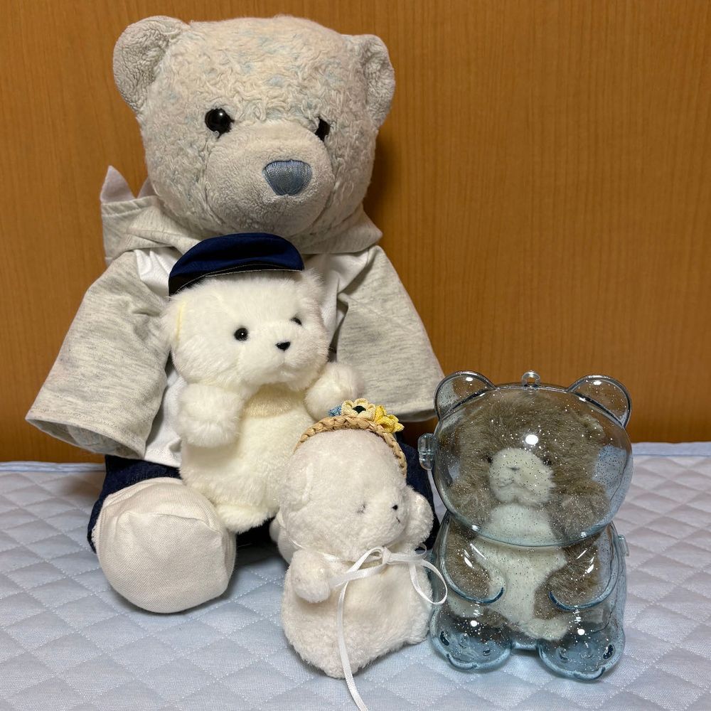 おやがちびたちにケースを買ってきたよ。ちびたち、興味津々だね。
ちびは可愛らしく入ったよ。
ちびおも入って楽しそう。
でかには小さかったね。ちびが押してあげてるけど、きっと閉まらないよ。諦めよう。