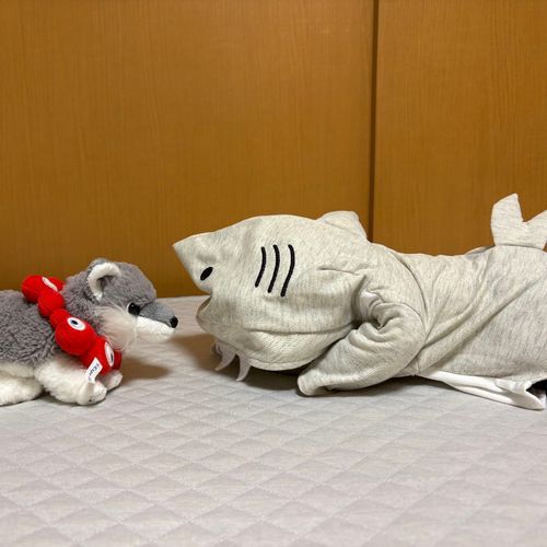 だれだ。けあちゃのニオイがする。けあちゃをたべたの！？
せいばいしてやる！けあちゃをかえせ！
あれ？けあちゃだったの？
うつぶせで　ねてただけなの？けあちゃ　かんでごめんね。けあちゃ　だいすきだよ。