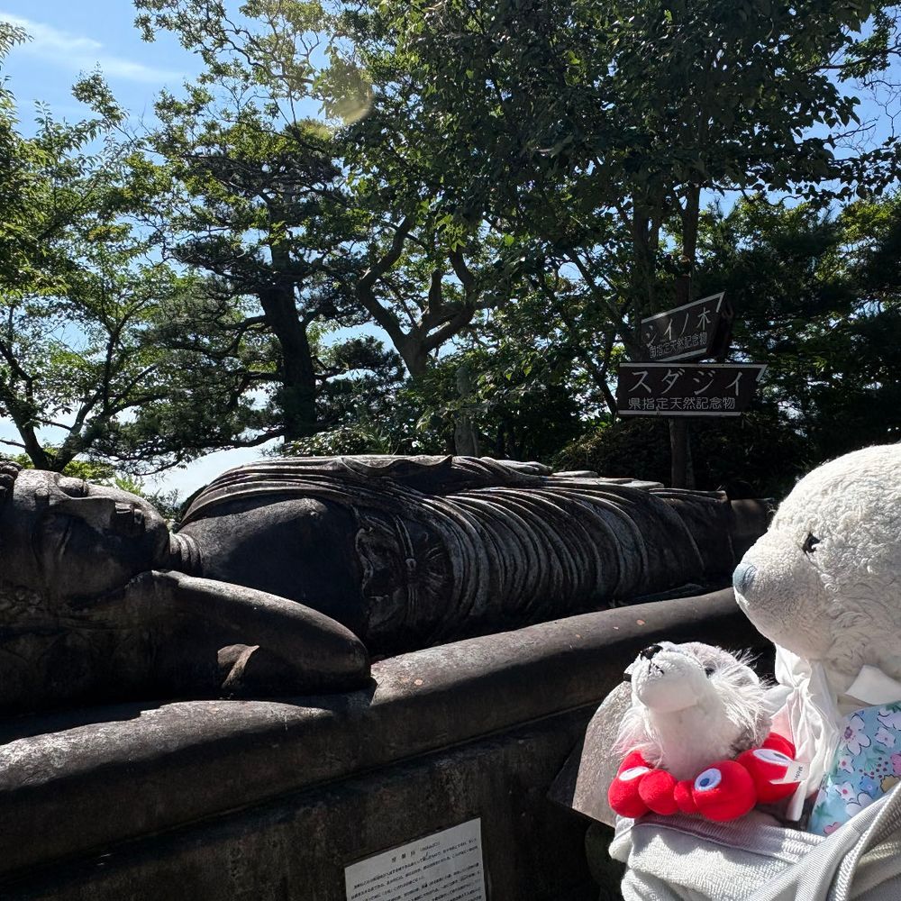 先月行ったお寺をご紹介。亘理にある称名寺だよ。
1枚目　いい格言が書いてあったよ。けあはもうふさまと一緒に帰りたいな。
2枚目　カッコいい塔。
3枚目　だらけてる菩薩様。けあも横になっていい？
4枚目　可愛いお地蔵様になりきるけあ。おおくんは可愛いお地蔵様を見つめてたよ。