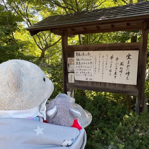 先月行ったお寺をご紹介。亘理にある称名寺だよ。
1枚目　いい格言が書いてあったよ。けあはもうふさまと一緒に帰りたいな。
2枚目　カッコいい塔。
3枚目　だらけてる菩薩様。けあも横になっていい？
4枚目　可愛いお地蔵様になりきるけあ。おおくんは可愛いお地蔵様を見つめてたよ。