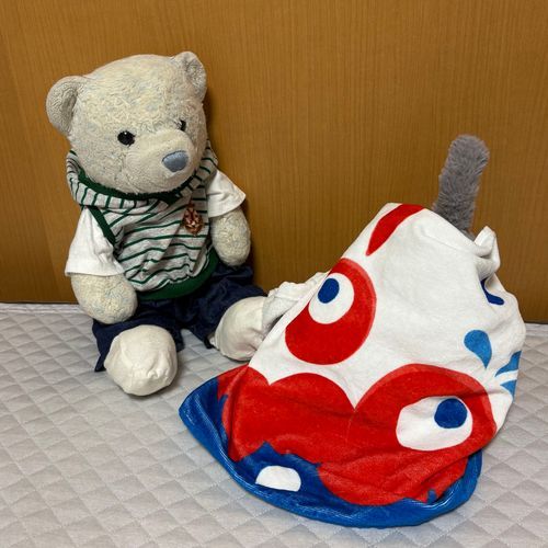 おおくん何してるの？
モンブランモードなの？それモンブランじゃなくてただの三角形だよ。
けあも巻き込まれたよ。暑い…
このタオル、おおくんにあげてないのに、おおくんが勝手に自分のものにしてたよ。困った子だ。
