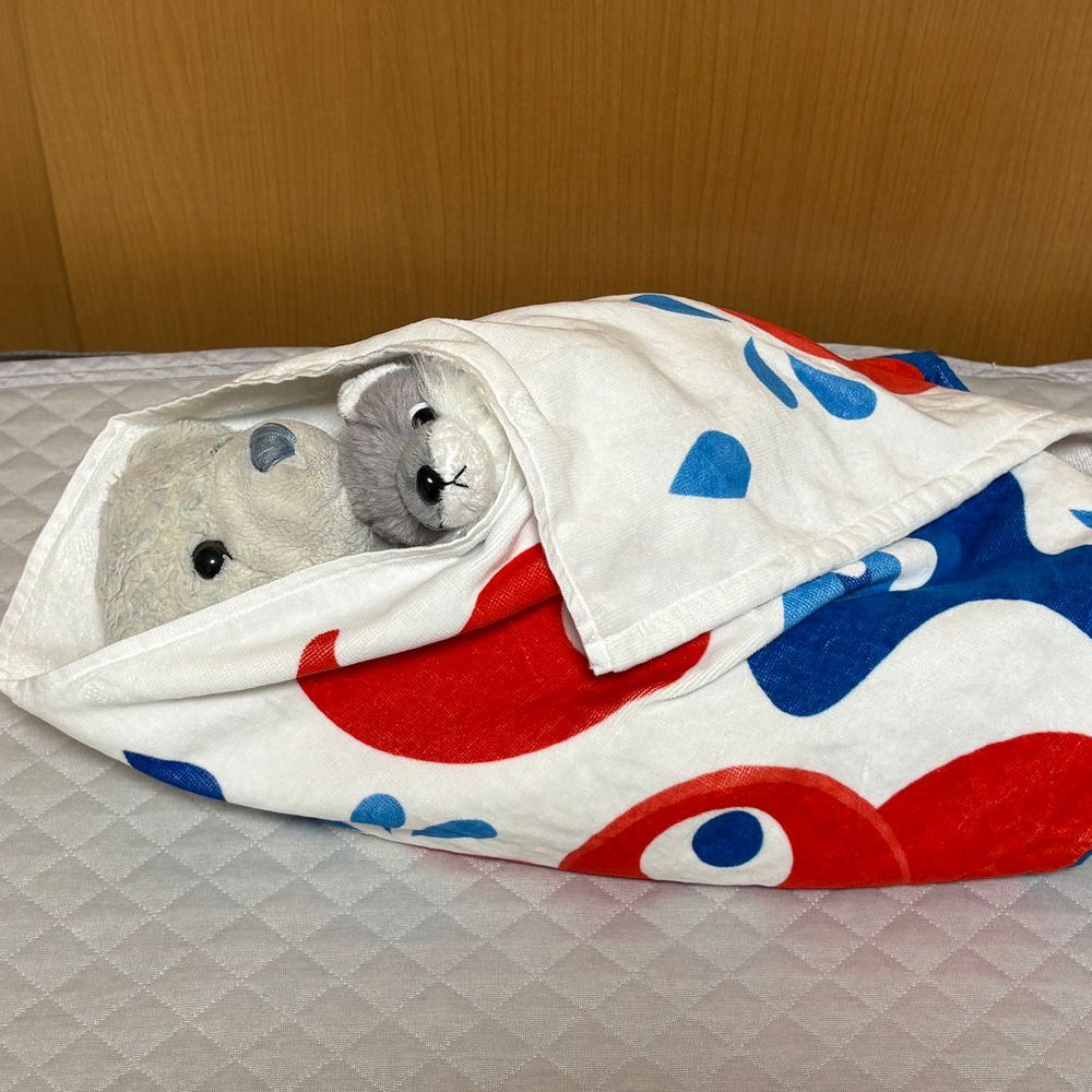 けあは猛烈に怒ってます。
お風呂に入れられました。1枚目は干された後におおくんと整ってる様子です。
今日はおやと口ききません。けあは怒ってます。
おおくんはお風呂で疲れ果てて寝ました。