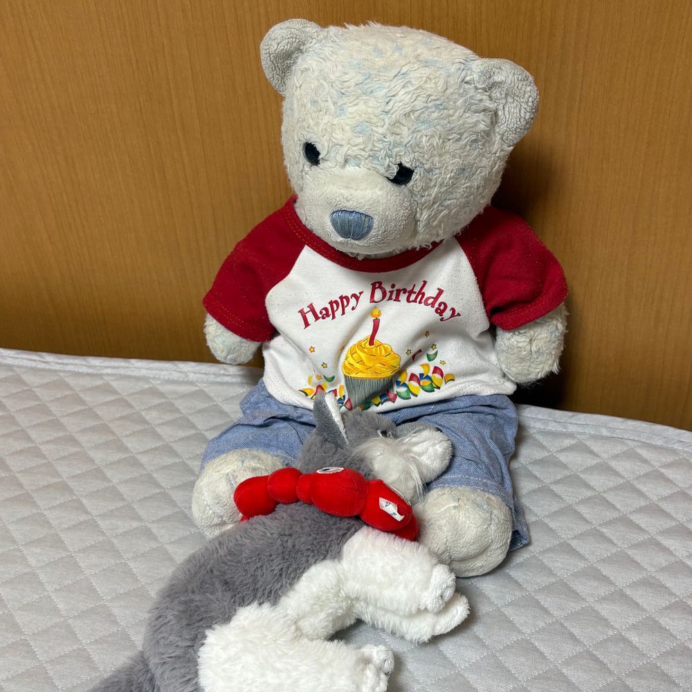 けあは猛烈に怒ってます。
お風呂に入れられました。1枚目は干された後におおくんと整ってる様子です。
今日はおやと口ききません。けあは怒ってます。
おおくんはお風呂で疲れ果てて寝ました。