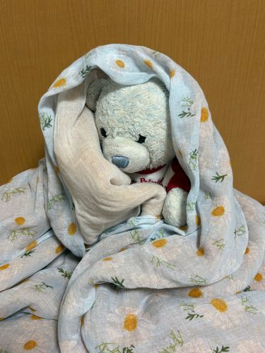 お風呂に入れられてけあのニオイが消えちゃったから、必死にもうふさまから移してもらってるよ。はやくけあのニオイに戻りますように。
けあのことが大好きなニンゲン(おやのともだち)が、けあファミリー+そのニンゲンのうちのふわもこで座席表を作ったみたい。ちびが一番前なんだね。